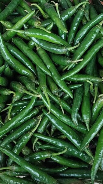 Green Chili